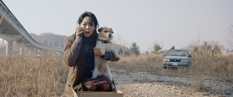 『The Woman with the Dog』
