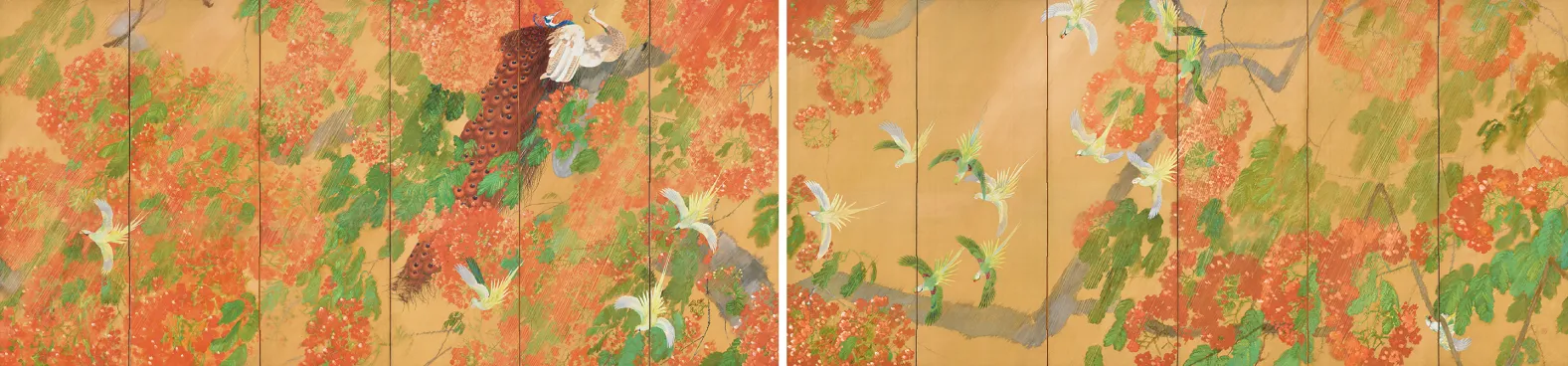 燦雨