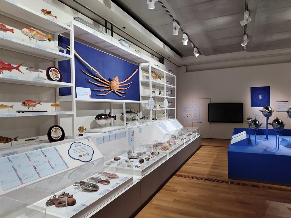 魚介類の展示(松本会場の様子)