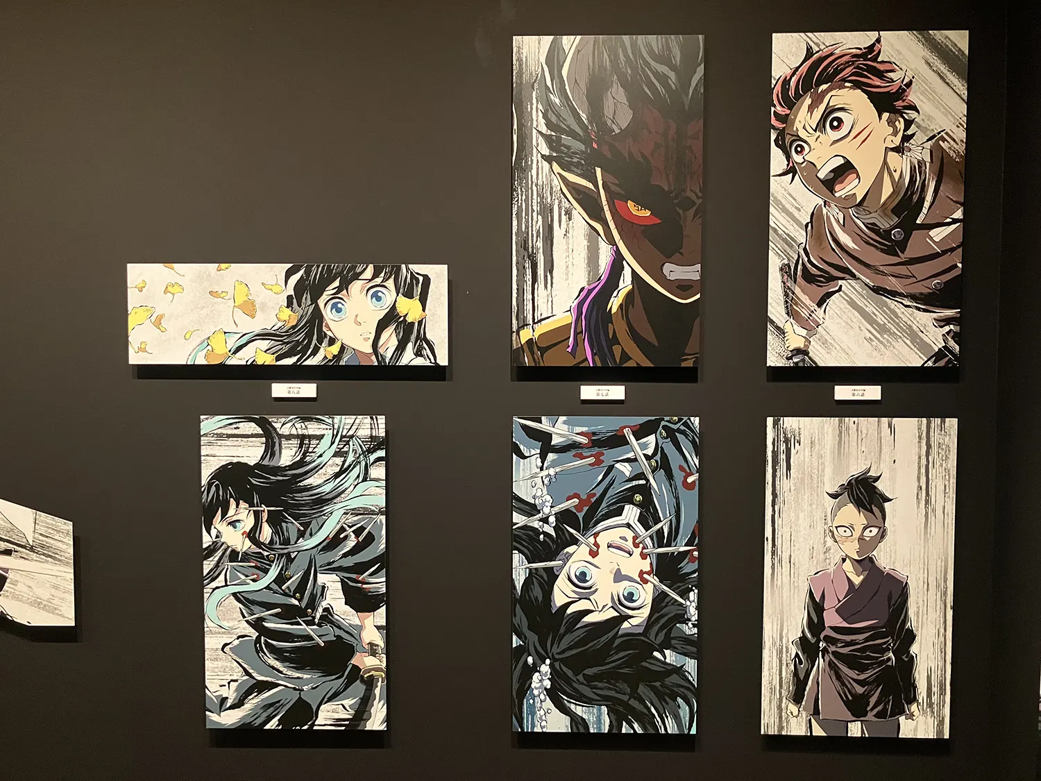 展示内容　④アイキャッチ全集