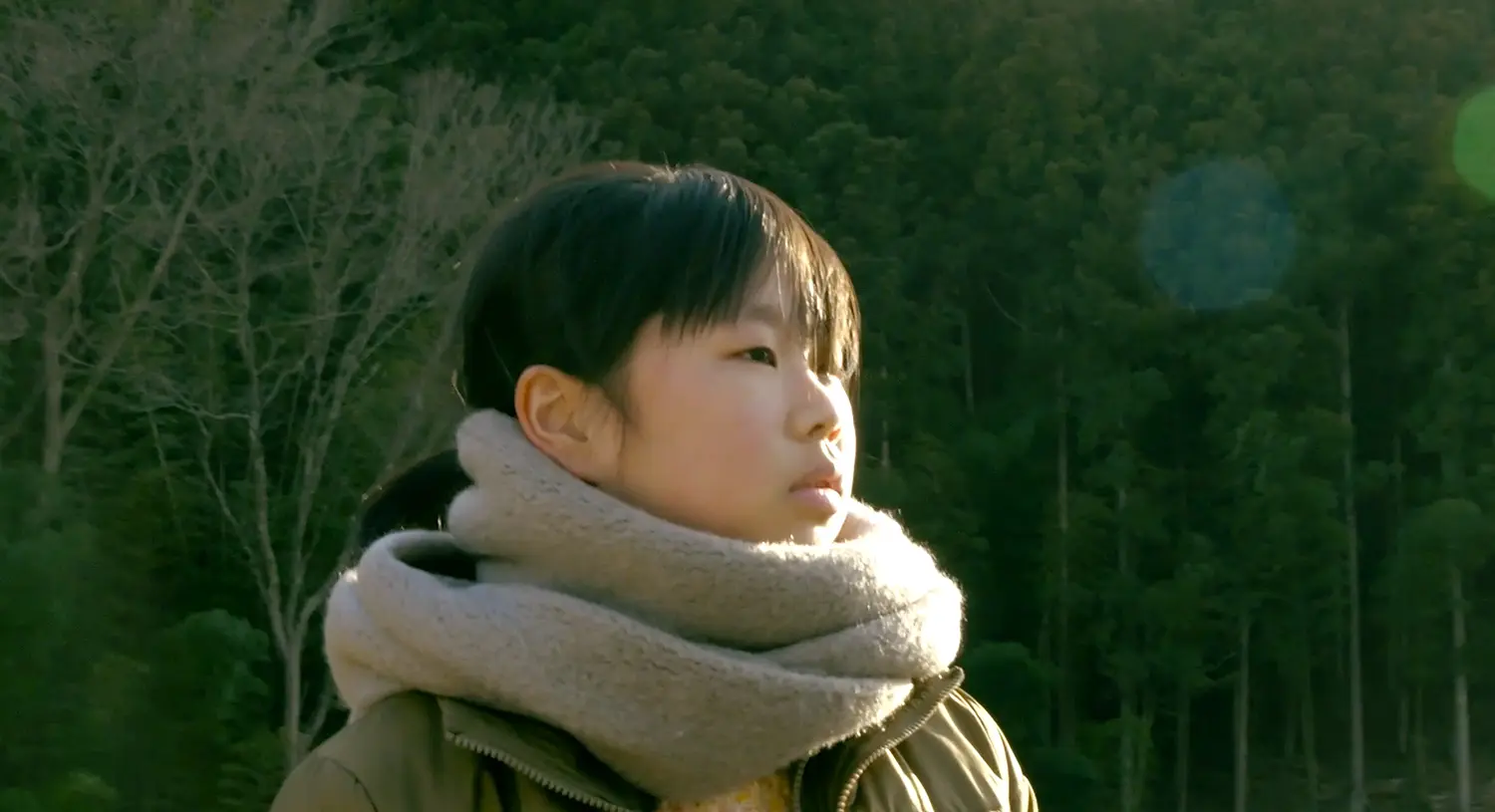 『春をかさねて』Spring After Spring Passes Us By…