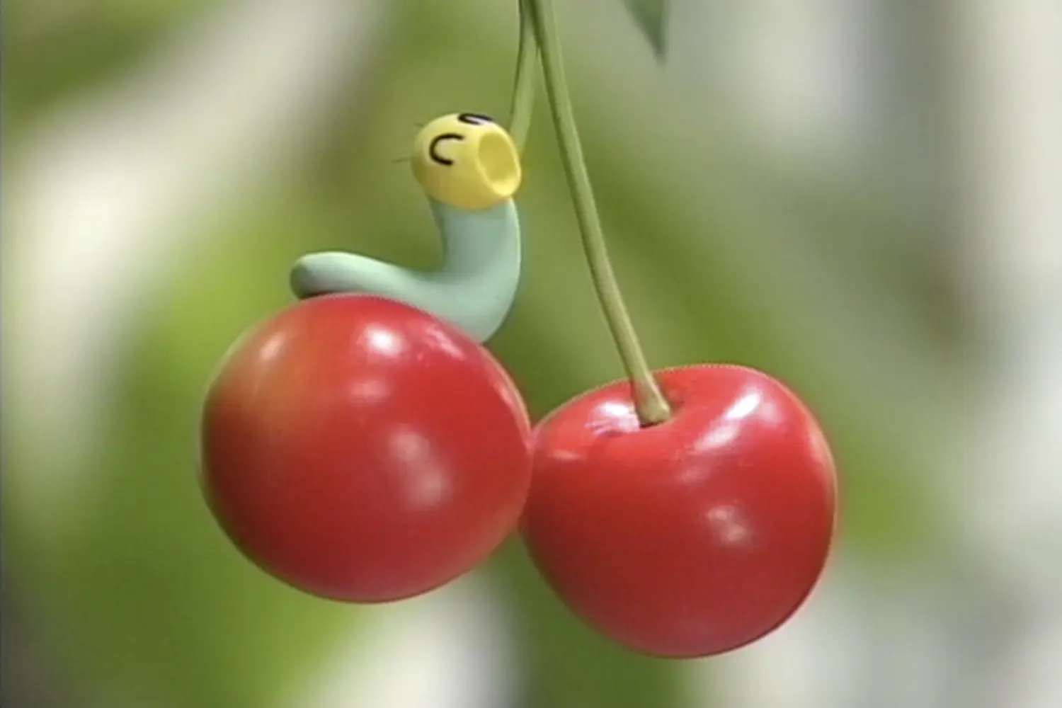 『ニャッキ!』より「サクランボ」