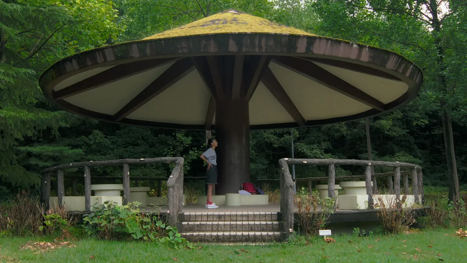 『マイ スモール ワールド』