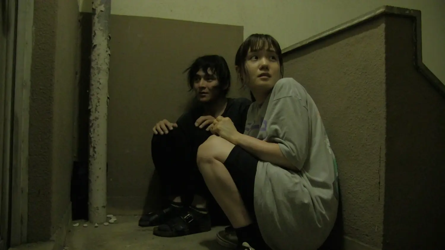 『ワンダリング・メモリア』