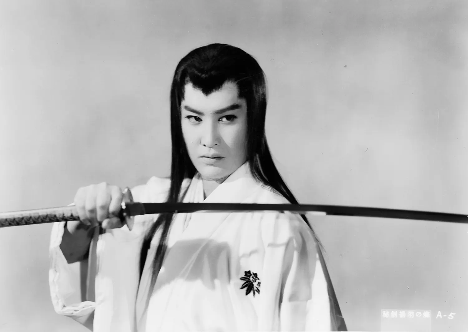 『源氏九郎颯爽記 秘剣揚羽の蝶』